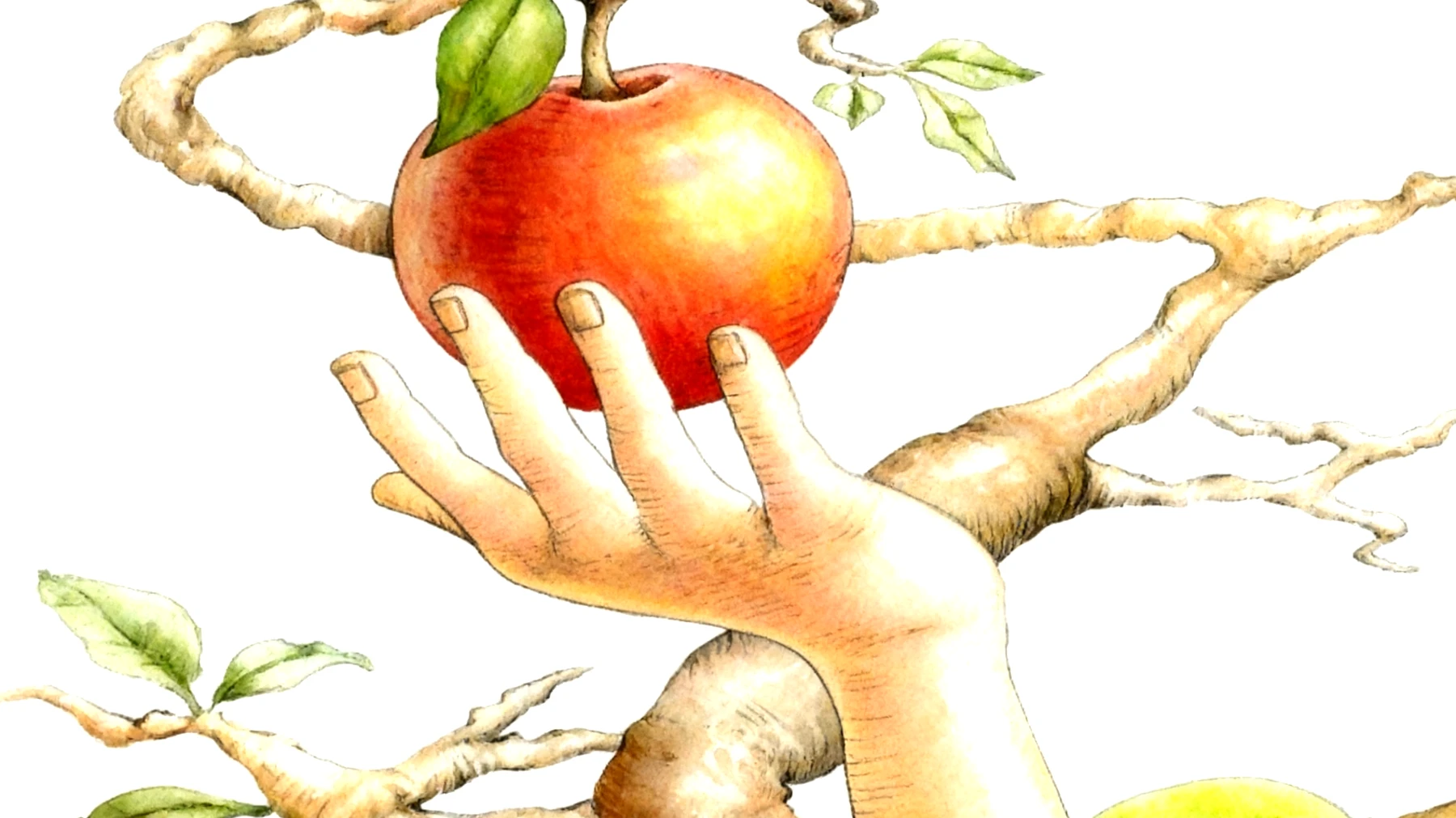 Forbidden Fruit2025-11-24T06:58:56.694Z"