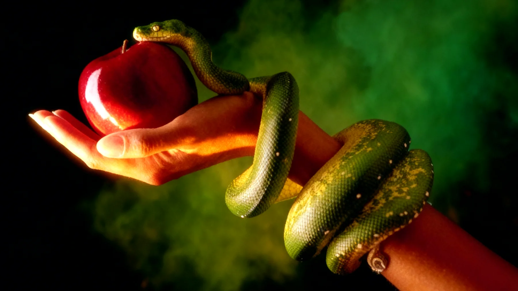 Forbidden Fruit2025-12-15T06:56:28.675Z"