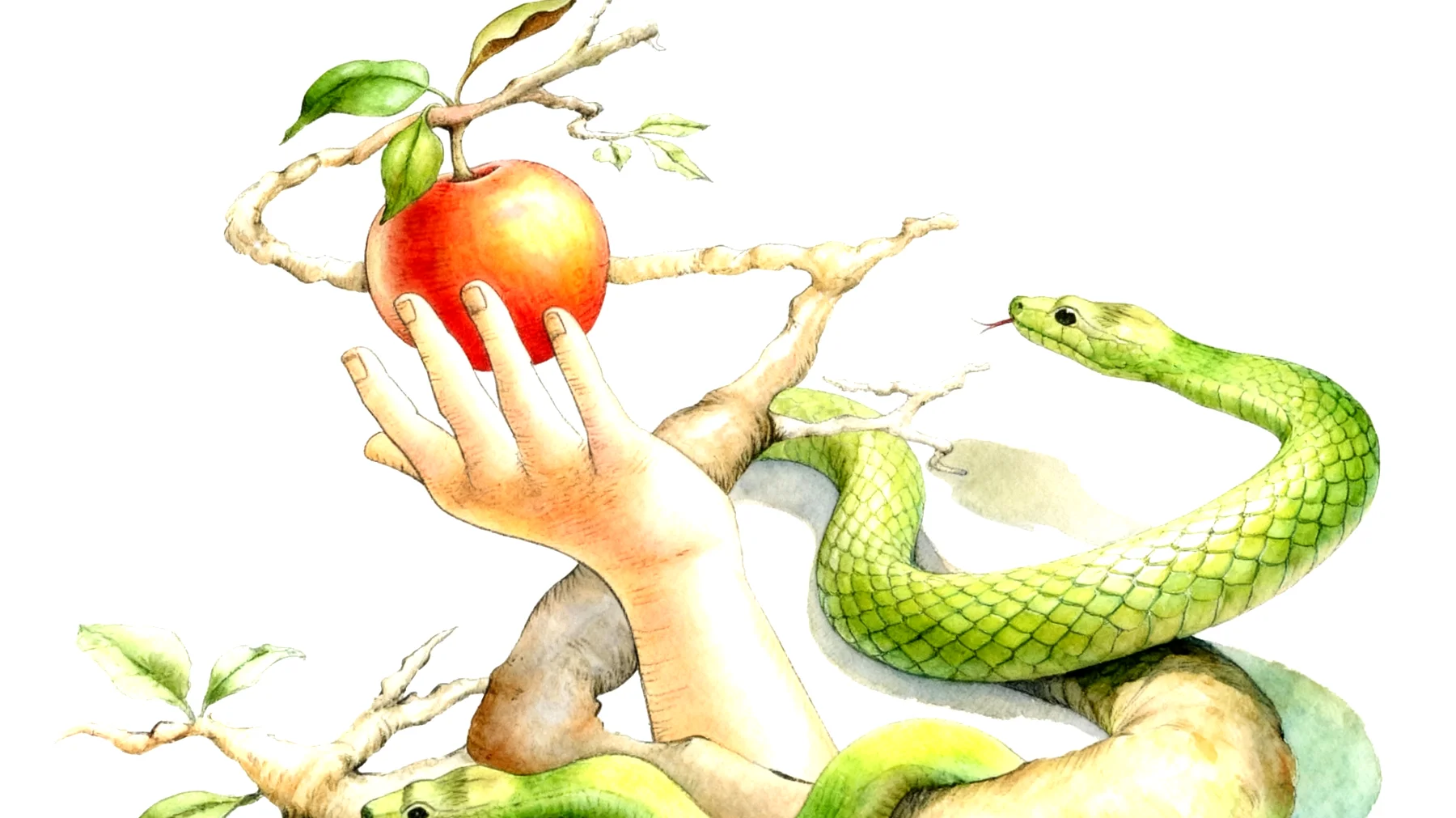 Forbidden Fruit2025-12-21T07:00:47.428Z"