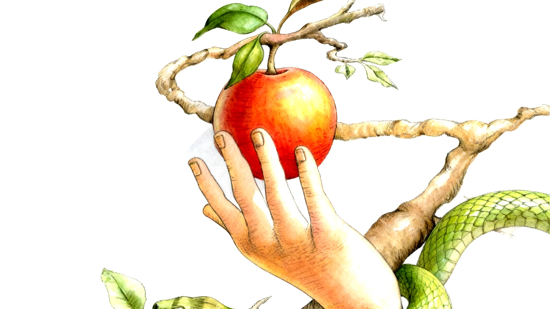 Forbidden Fruit2025-12-23T06:38:41.022Z"