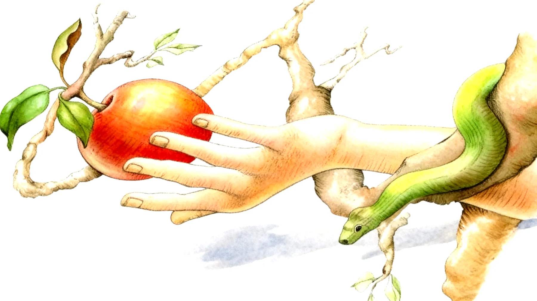 Forbidden Fruit2025-12-26T06:49:32.203Z"