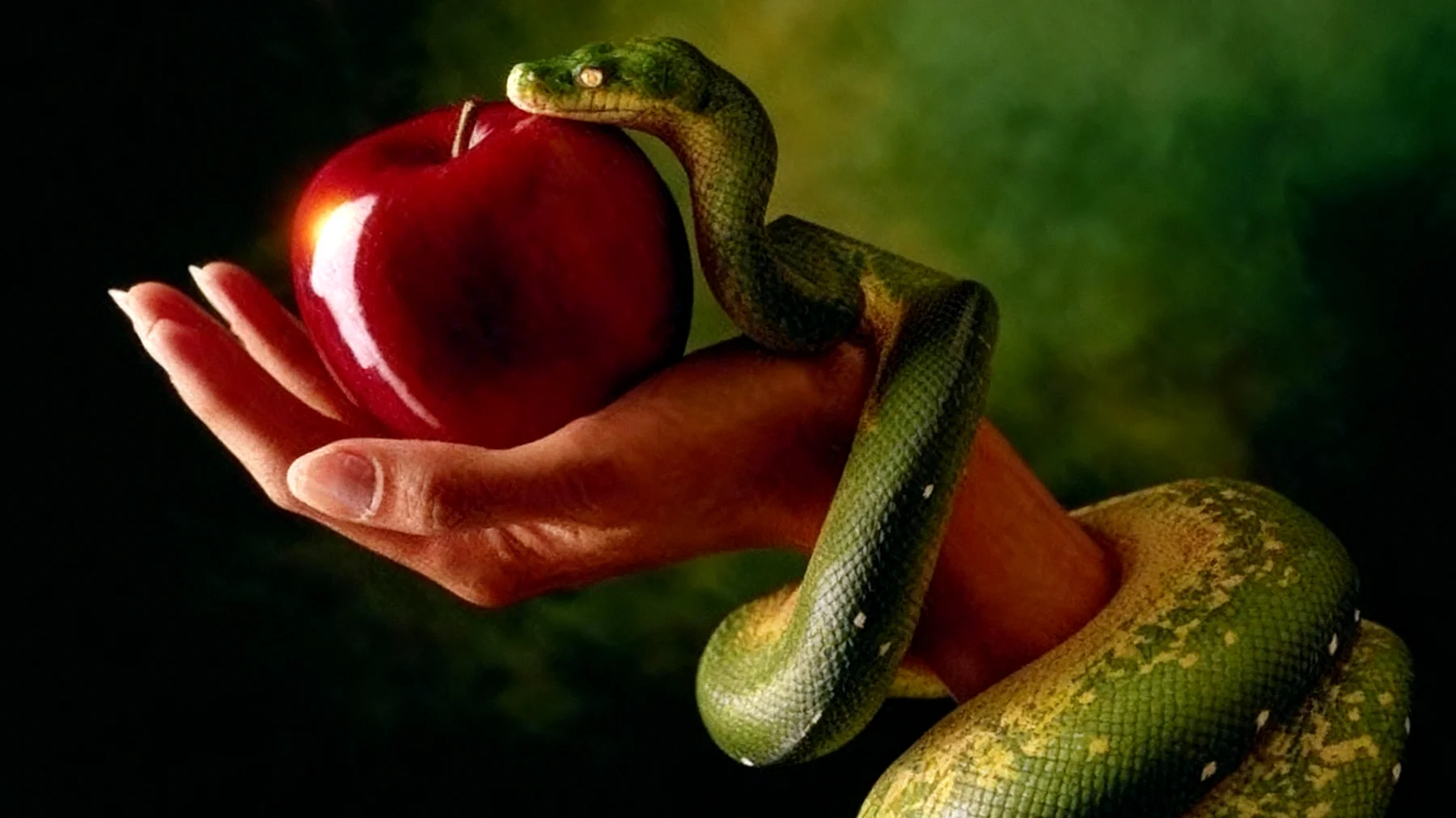 Forbidden Fruit2025-12-30T06:38:43.700Z"