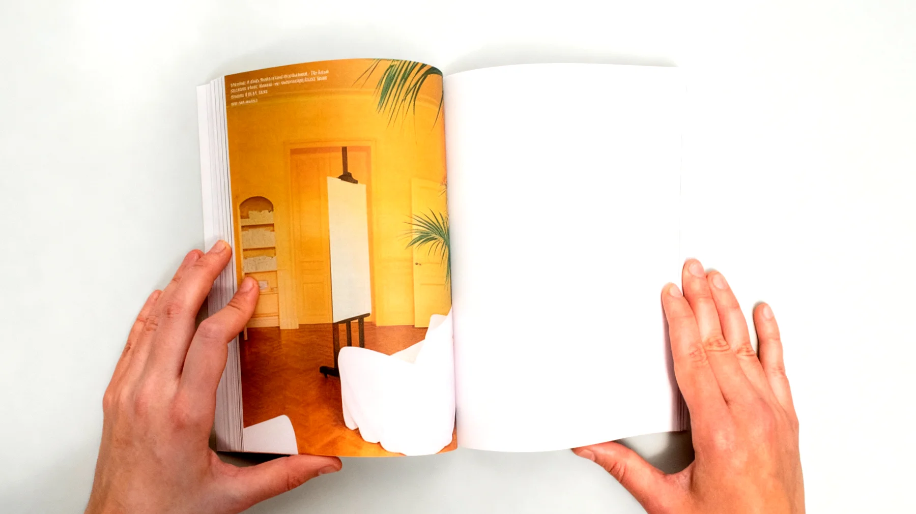 Un posto al sole 2025-12-15T06:34:05.332Z"