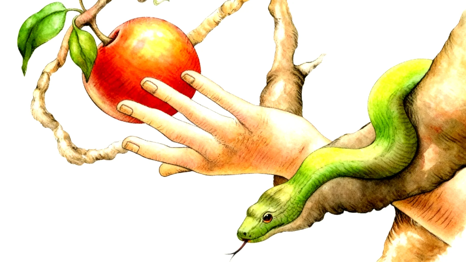 Forbidden Fruit2026-01-01T06:44:11.831Z"