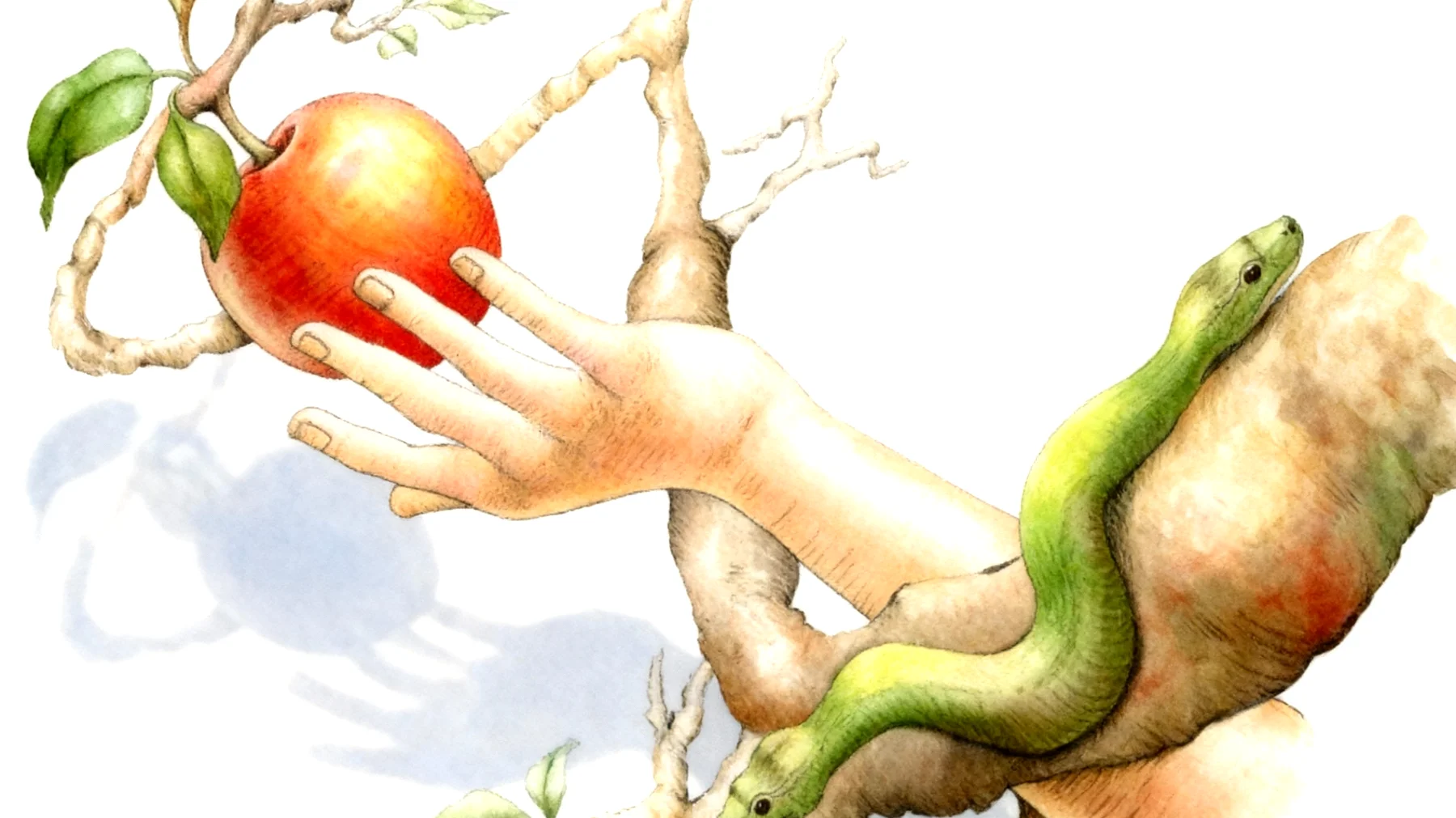 Forbidden Fruit2026-01-04T06:48:06.045Z"