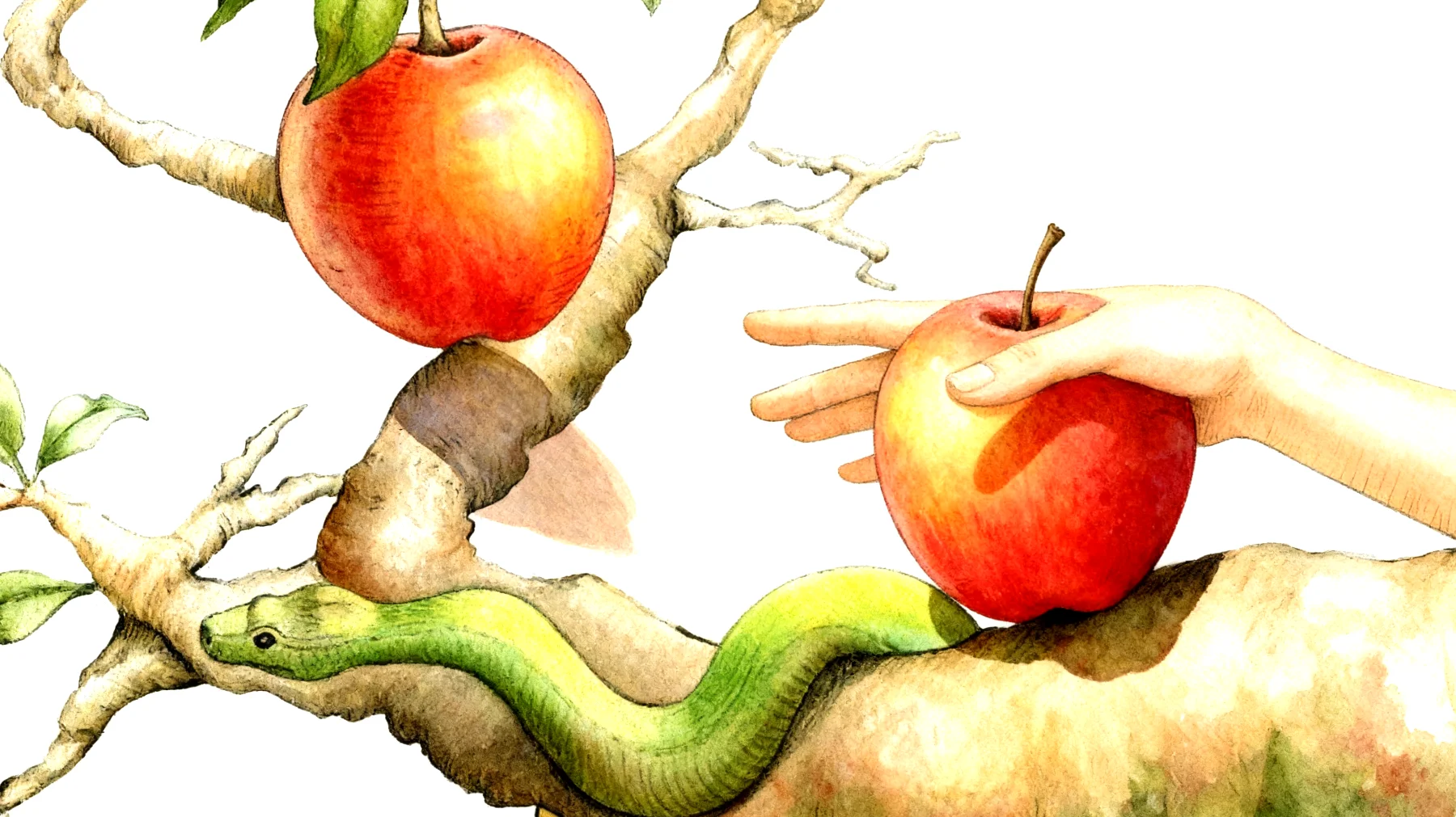 Forbidden Fruit2026-01-13T06:53:19.150Z"